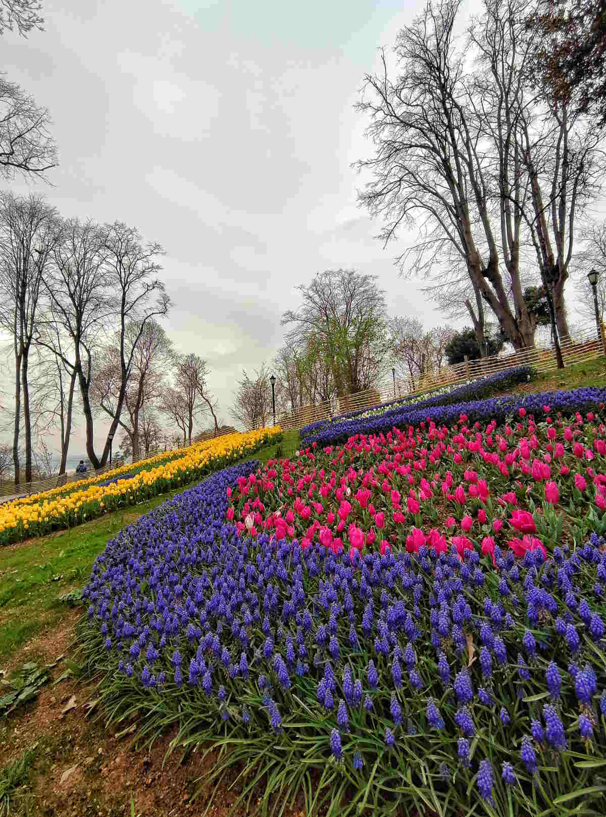I Giardini e i Parchi europei più belli da visitare: Scorci delle fioriture dall'Emirgan Park a Istanbul