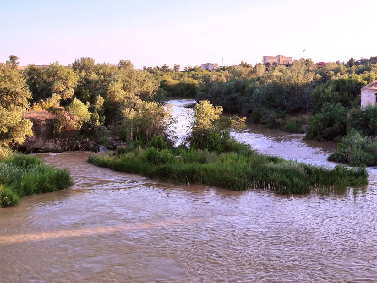 Visitare Cordoba: La riserva naturalistica di Sotos de la Albolafia sul Guadalquivir, vicina al Ponte Romano