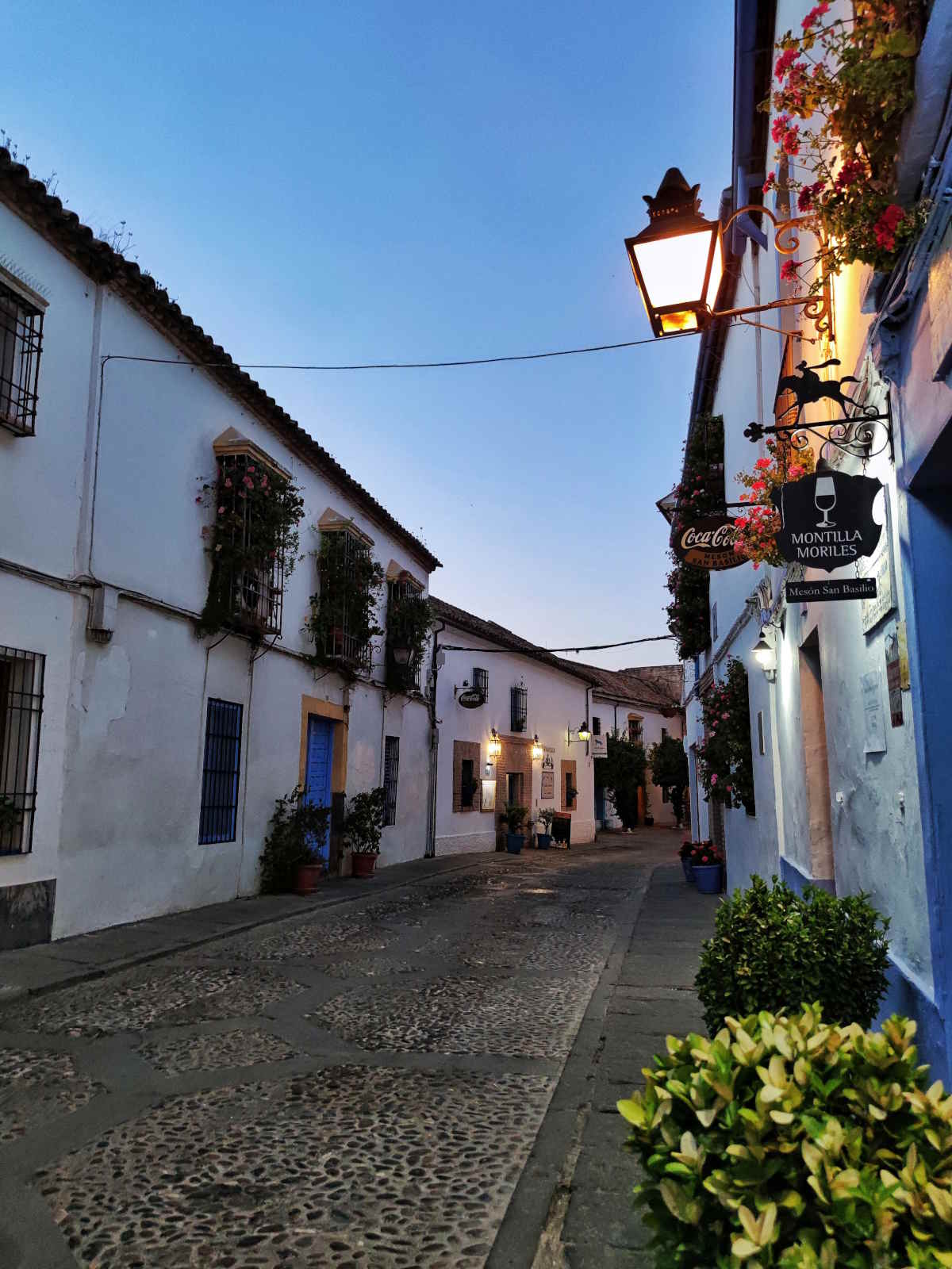 Passeggiata nel Quartiere di San Basilio, cuore dei Patios Cordobeses.