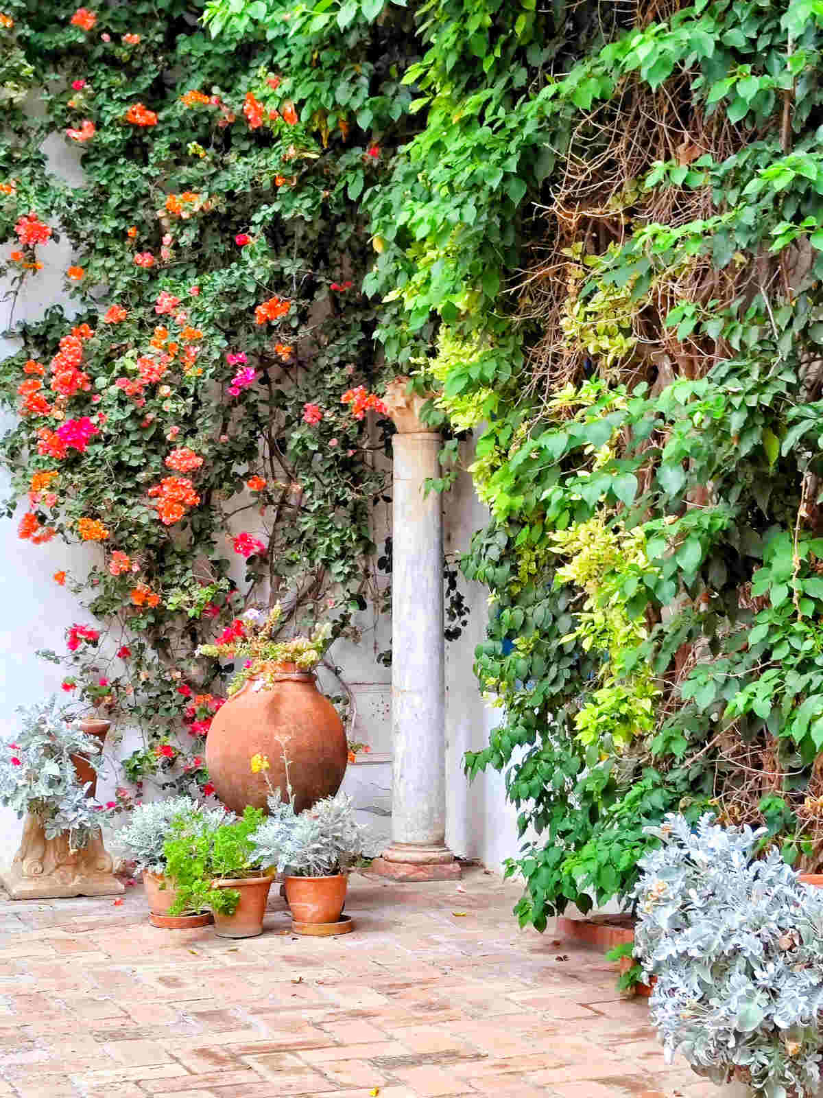 Angoli da uno dei 12 patii del Palazzo di Viana a Cordoba fra fiori e piante