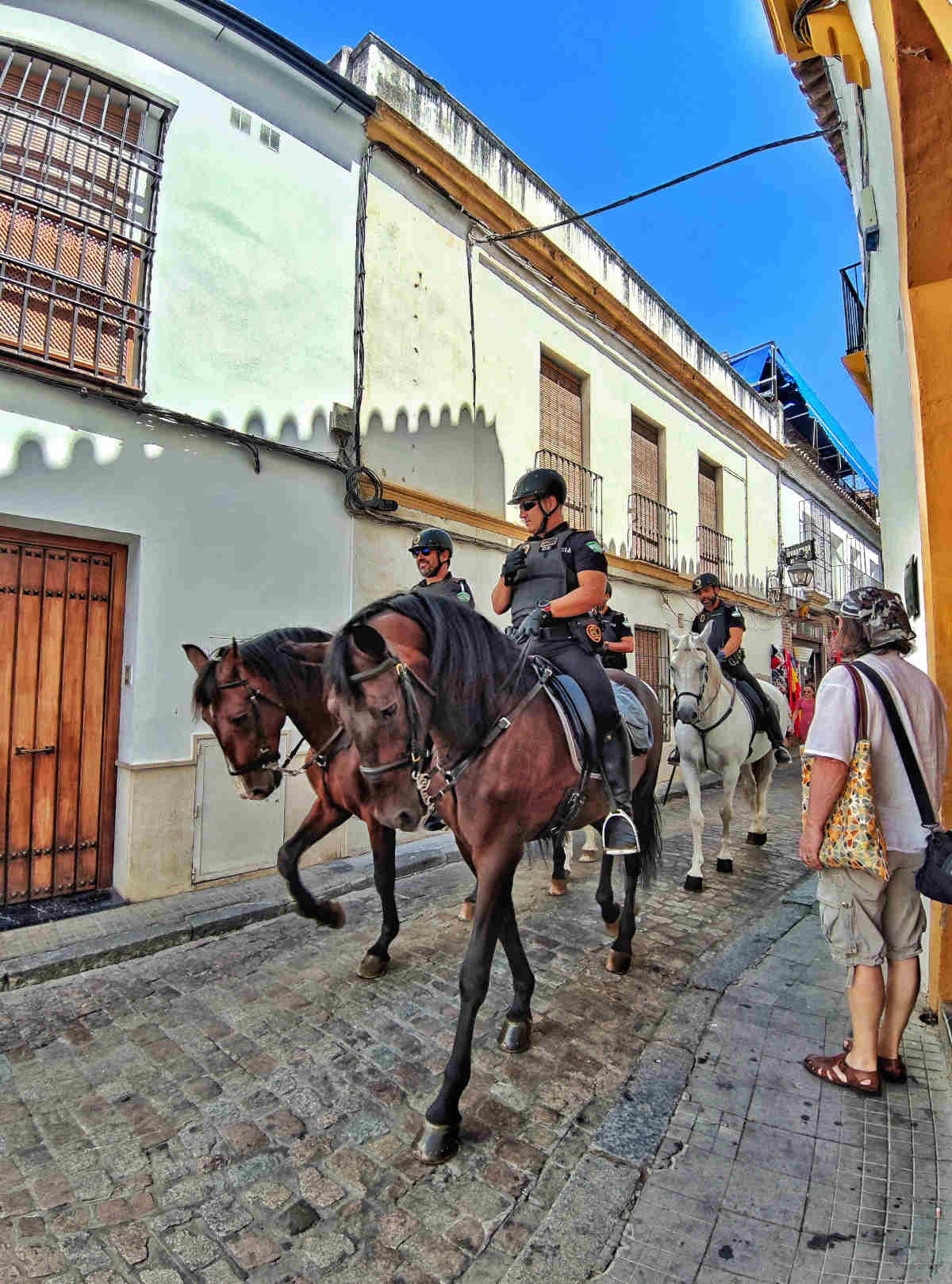 Visitare Cordoba: Per le vie del Barrio della Juderia