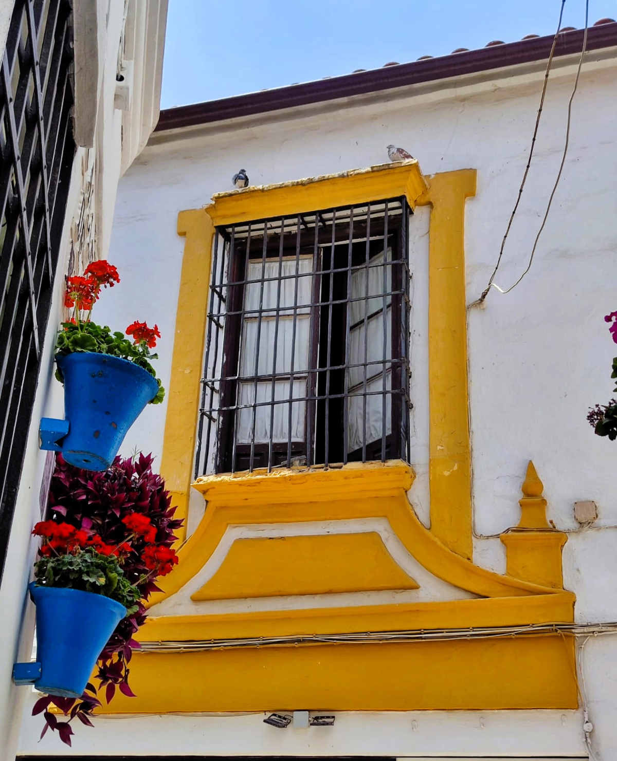 Visitare Cordoba: Calli, vicoli e patios fioriti nella Judeira cordobese