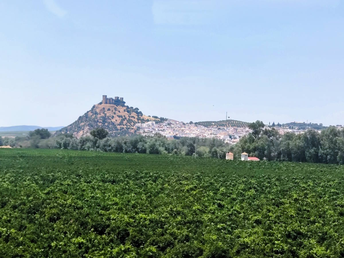 Paesaggi dal treno verso Cordoba: Il Castello di Almodovar del Rio